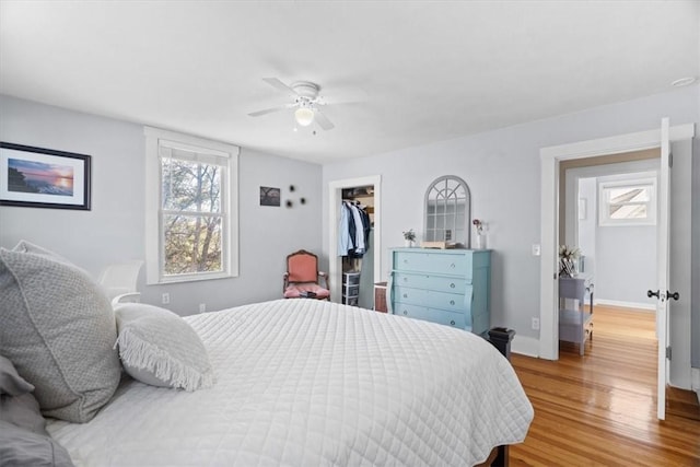 bedroom with light wood finished floors, a spacious closet, baseboards, a closet, and a ceiling fan