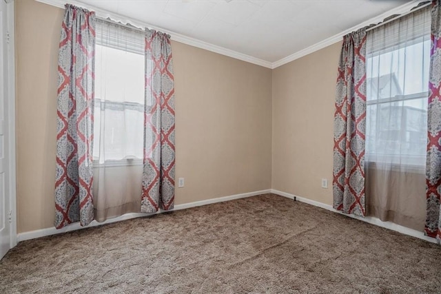 spare room with crown molding, carpet flooring, and a wealth of natural light