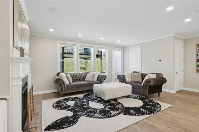 living room featuring baseboards, wood finished floors, and crown molding