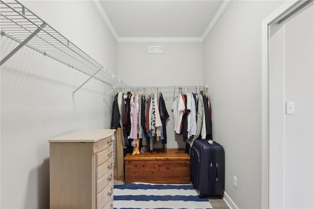 walk in closet with visible vents