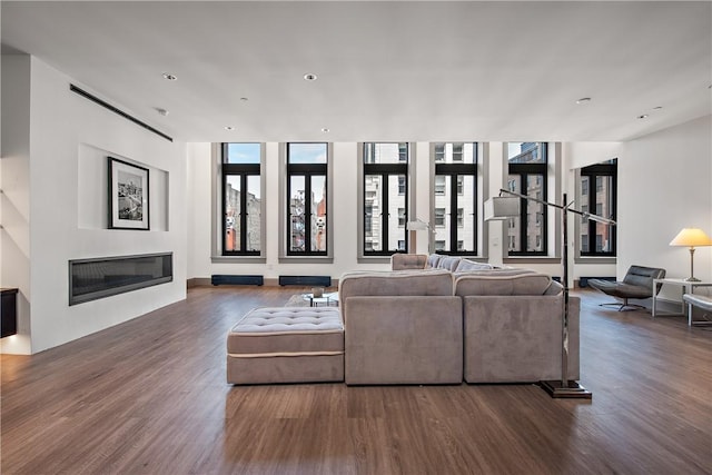 living room with a glass covered fireplace and wood finished floors