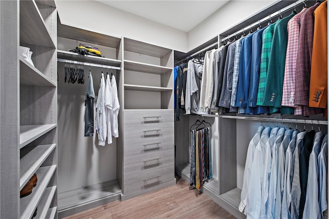 spacious closet with wood finished floors