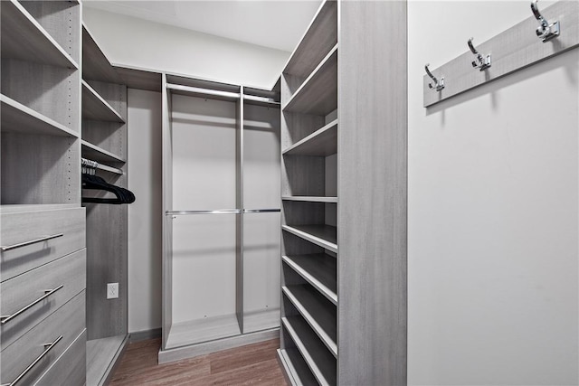 spacious closet featuring dark wood-style flooring