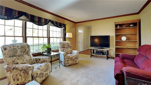 living room featuring carpet and crown molding