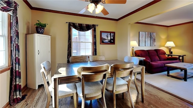 dining area featuring ceiling fan, wood finished floors, and ornamental molding