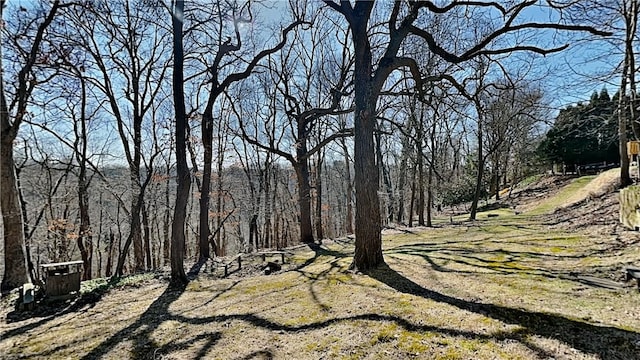 view of nature featuring a forest view