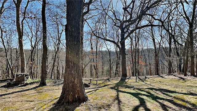 view of nature featuring a view of trees