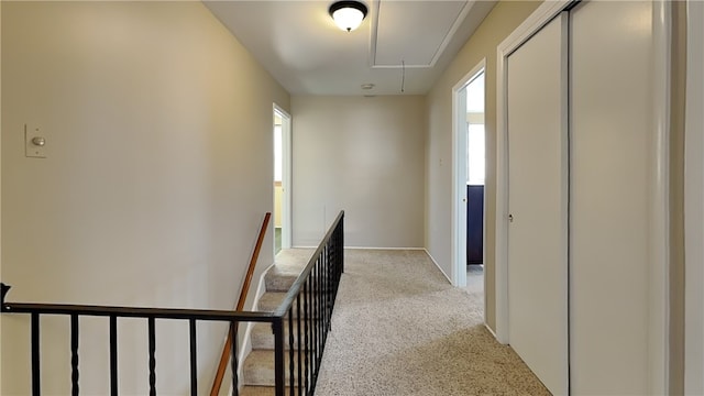 hallway featuring attic access, an upstairs landing, a wealth of natural light, and light carpet