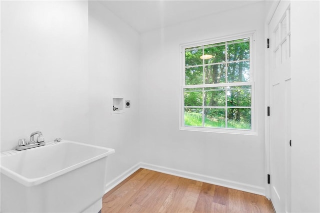 washroom featuring baseboards, hookup for an electric dryer, laundry area, washer hookup, and light wood-type flooring