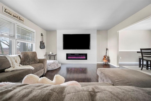 living area featuring a glass covered fireplace, wood finished floors, and baseboards