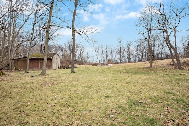 view of yard featuring an outdoor structure