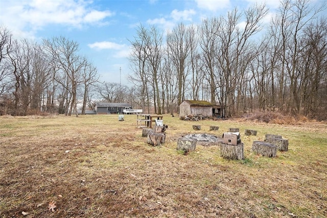 view of yard with an outbuilding and a shed