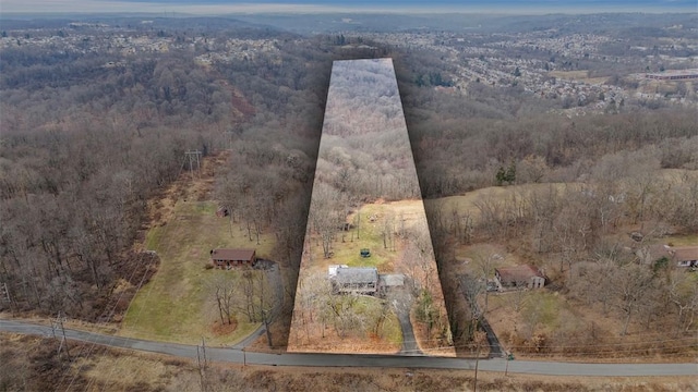 drone / aerial view with a rural view and a wooded view