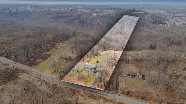 bird's eye view featuring a rural view and a wooded view