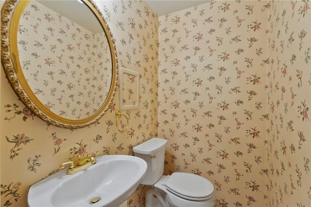 bathroom with wallpapered walls, toilet, and a sink