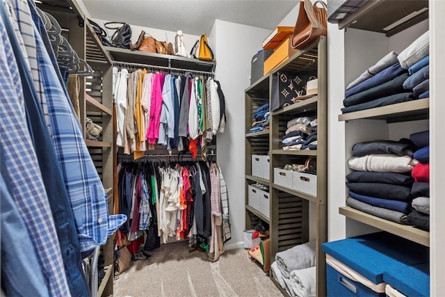 spacious closet with carpet floors