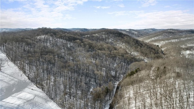 mountain view featuring a view of trees