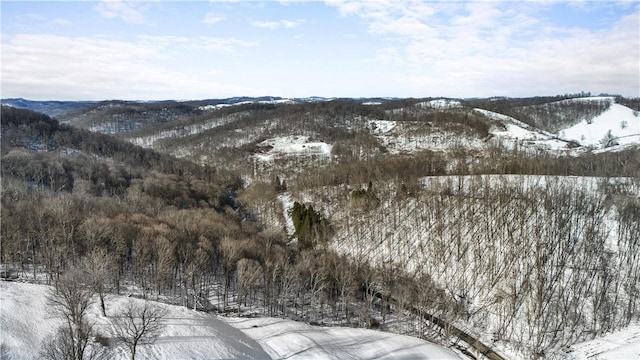 view of mountain feature