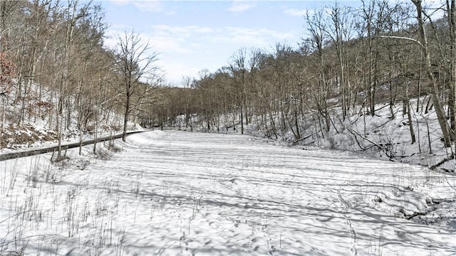 exterior space with a wooded view