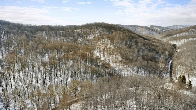 view of mountain feature featuring a forest view