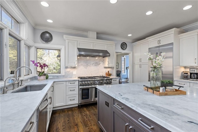 kitchen with ornamental molding, high quality appliances, under cabinet range hood, and a sink