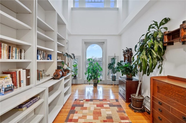 5435 Dunmoyle St, Squirrel Hill, PA 15217 - foyer entrance with light wood-style floors and a high ceiling