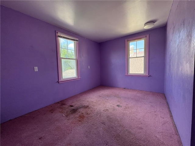 110 W Chartes St, New Castle/8Th, PA 16102 - photo 10