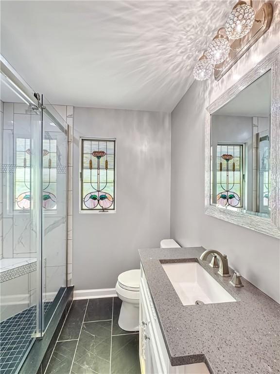 bathroom with plenty of natural light, toilet, a shower stall, and vanity