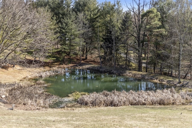 property view of water featuring a wooded view