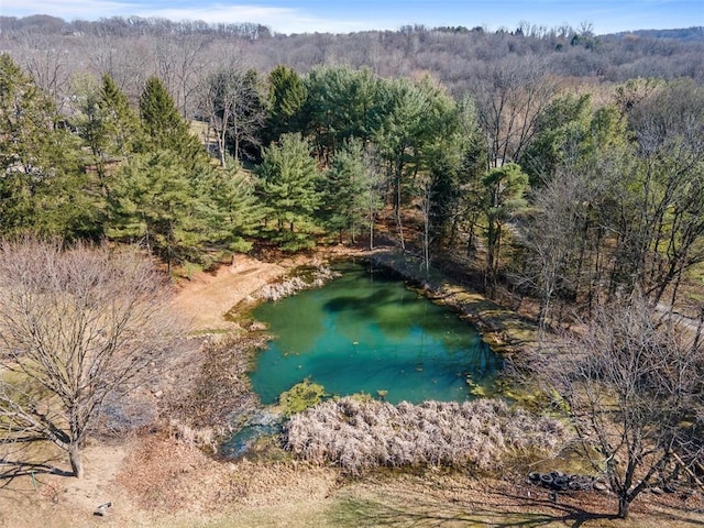 aerial view featuring a forest view