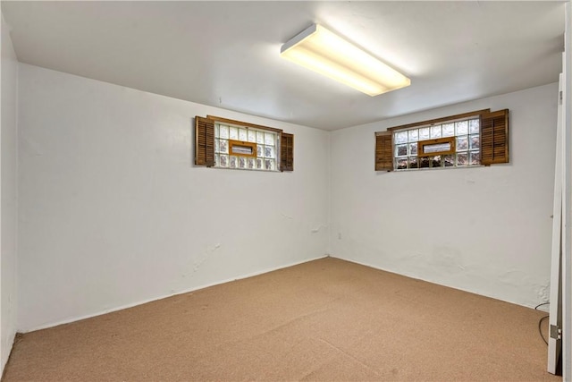 basement featuring carpet floors