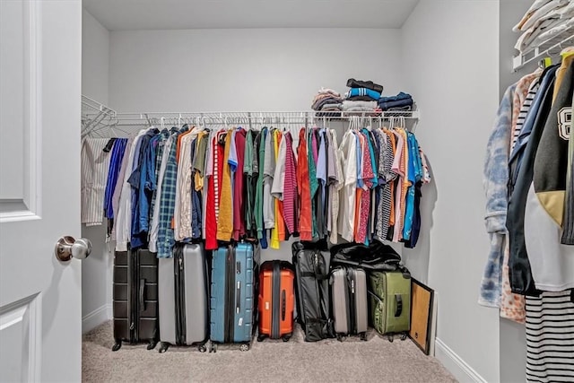 spacious closet with carpet flooring