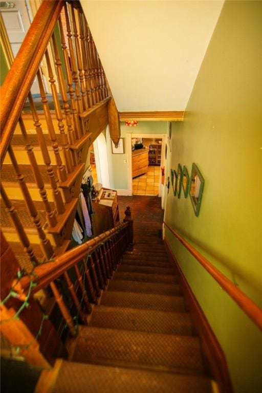 staircase featuring carpet floors