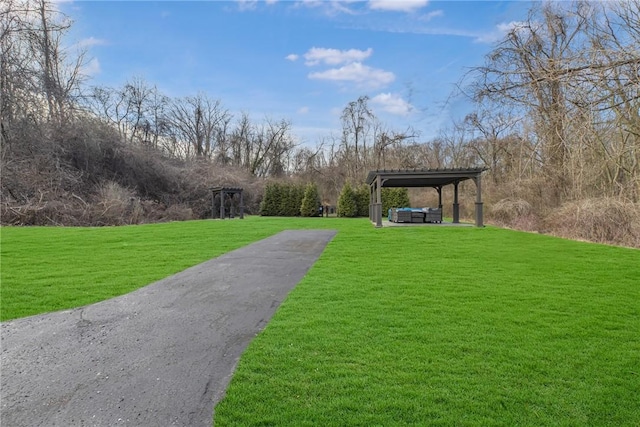 view of community featuring a lawn