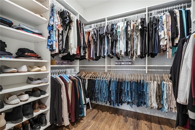 spacious closet featuring wood finished floors