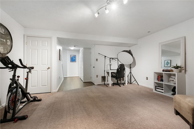 exercise area featuring baseboards and carpet floors