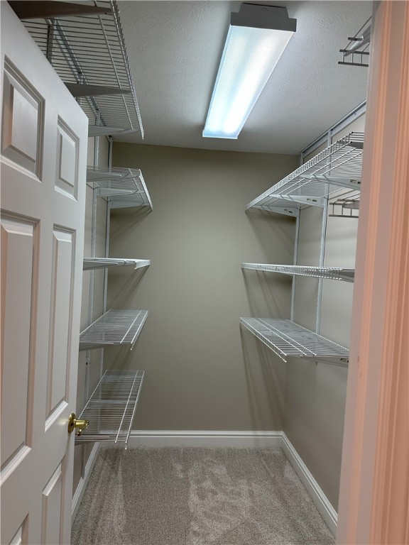 spacious closet featuring carpet floors