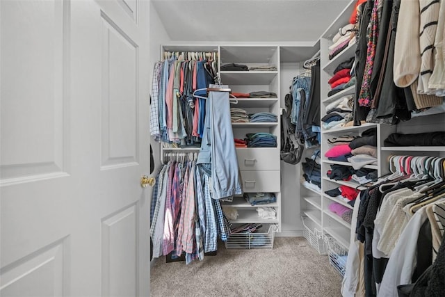 walk in closet featuring carpet flooring