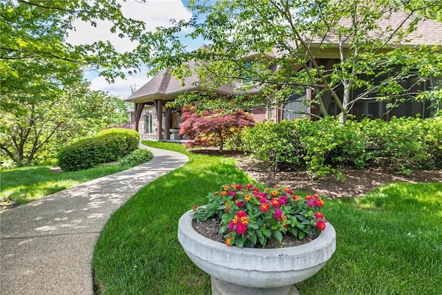 29 Virginia Ln, Cecil, PA 15317 - view of green lawn