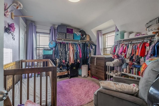 spacious closet with carpet floors