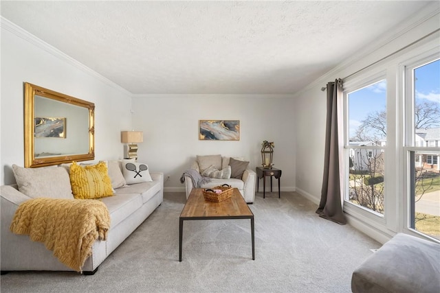 living area featuring light colored carpet, a textured ceiling, and crown molding