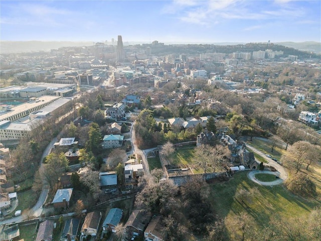 bird's eye view