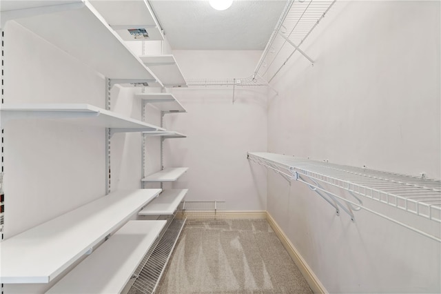 spacious closet featuring light colored carpet