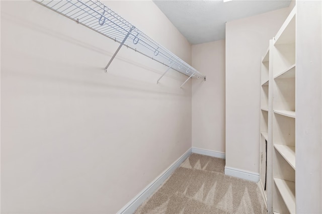 spacious closet with carpet flooring