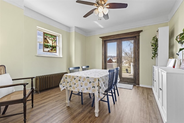 dining room featuring light wood-style floors, radiator, ceiling fan, and crown molding