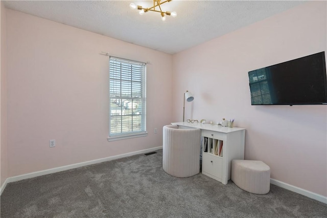 carpeted office space with baseboards, visible vents, and a textured ceiling