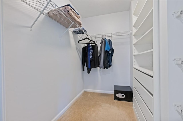 spacious closet featuring light colored carpet