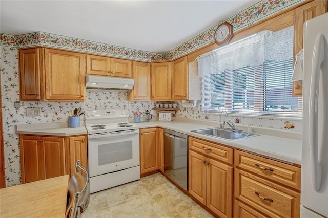 kitchen with wallpapered walls, white appliances, under cabinet range hood, and a sink