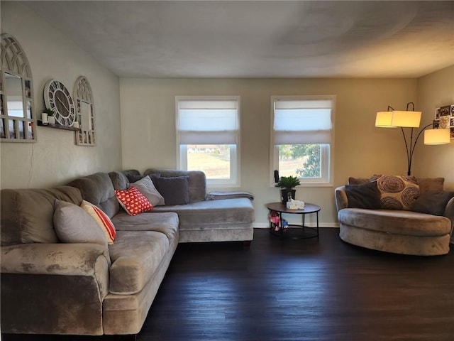 living area with wood finished floors