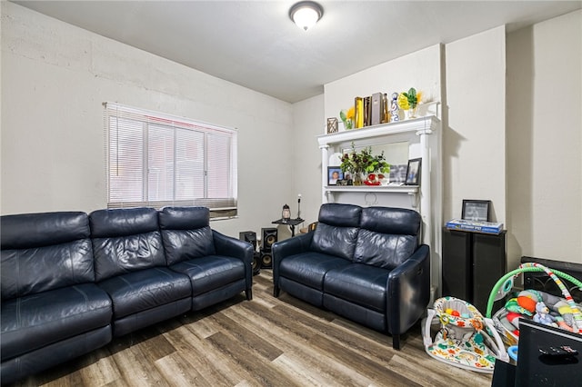 living area featuring wood finished floors